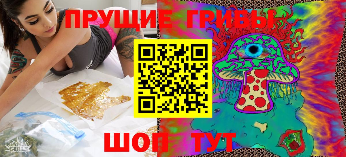 Семёнов  Псилоцибиновые грибы прущие грибы  Вход с VPN  купить   Псилоцибиновые грибы GOLDEN TEACHER 